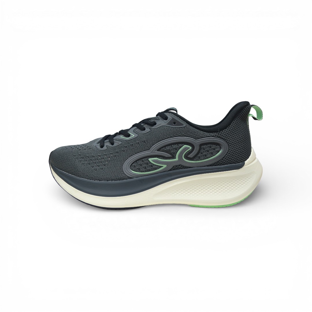 Articulo 2785<br>ZAPATILLA DEPORTIVA – OLYMPIKUS – 36/45<br>Color 000202 PLOMO/ARENIZCA <br> <span class='titulo_secundario' style='background-color:white;color:black;margin-top:7px; margin-bottom:0px;font-size:20px;'>Precio del Par</span>